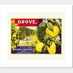 Grove Brand crate label, circa 1925 - 1930 Posters and Art